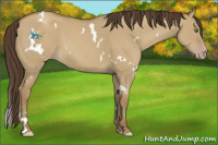 Horse Color:White Spotted Classic Cream Champagne Dun 