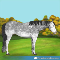Horse Color:White Spotted Black Ice 