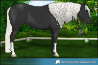 Horse Color:Liver Chestnut Mushroom 