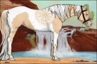 Horse Color:Gold Champagne Tobiano