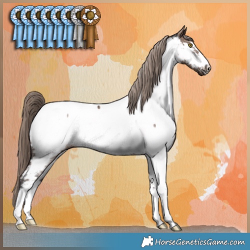 Horse Color:Liver Red Dun Appaloosa