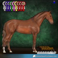 Horse Color:Bay Rabicano  and Chestnut Rabicano 