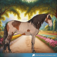 Horse Color:Bay  and Amber Champagne 