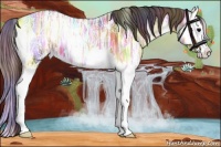 Horse Color:Nacre Bay Ice Onyx Splash