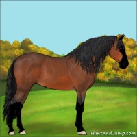 Horse Color:Void Brown Sabino Splash