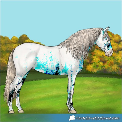 Horse Color:White Spotted Perlino Roan Dun 