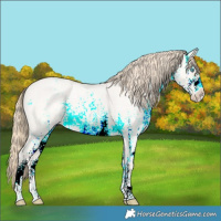Horse Color:White Spotted Perlino Roan Dun