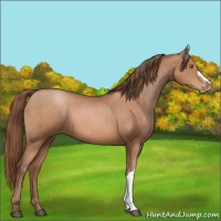 Horse Color:Brown Pearl 