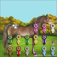 Horse Color:Liver Chestnut Mushroom Sabino Appaloosa 