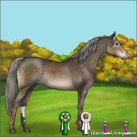 Horse Color:Liver Chestnut Mushroom Sabino 