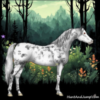 Horse Color:White Spotted Silver Black Chinchilla Splash Tobiano and White Spotted Brown Chinchilla Splash