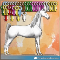 Horse Color:Liver Red Dun Appaloosa 