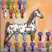 Horse Color:Liver Red Dun Appaloosa 