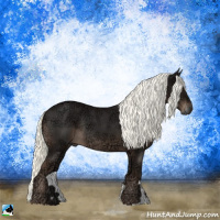 Horse Color:Liver Chestnut Ice Mushroom Rabicano