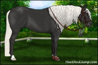 Horse Color:Liver Chestnut Mushroom 