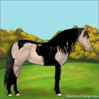 Horse Color:Void Sable Champagne Dun Tobiano 