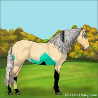 Horse Color:Silver Buckskin Roan Tobiano 