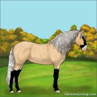 Horse Color:Silver Buckskin Roan Splash