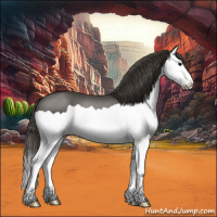 Horse Color:Smoky Black Splash 