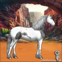 Horse Color:Black Ice Splash Tobiano 