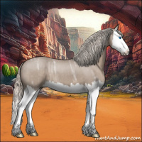 Horse Color:Silver Grullo Ice Roan Splash