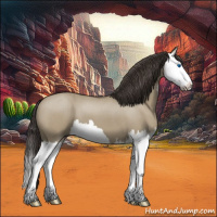 Horse Color:Smoky Grullo Roan Splash 