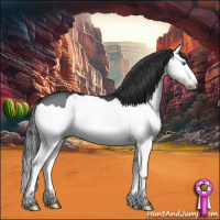 Horse Color:Black Splash 