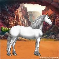 Horse Color:Buckskin Dun Splash Tobiano 