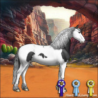 Horse Color:Black Splash Tobiano