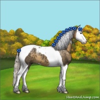 Horse Color:Silver Smoky Black Splash Tobiano