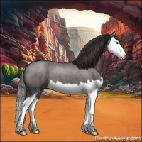 Horse Color:Smoky Blue Roan Splash 