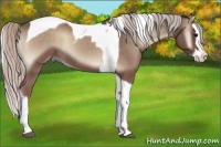 Horse Color:Silver Blue Onyx Splash Tobiano