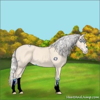 Horse Color:Silver Perlino Sabino