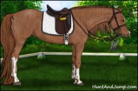 Horse Color:Chestnut  and Chestnut 