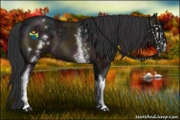 Horse Color:White Spotted Midnight Bay Ice 