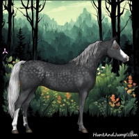 Horse Color:Silver Black Chinchilla