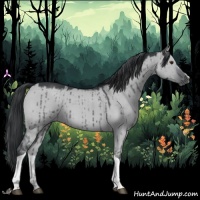 Horse Color:Grullo Chinchilla Roan Brindle