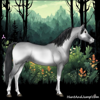 Horse Color:Grullo Chinchilla Onyx 