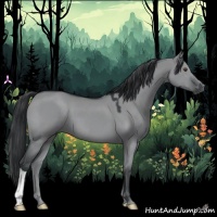 Horse Color:Grullo Chinchilla 
