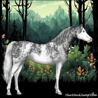 Horse Color:White Spotted Silver Black Chinchilla Sabino Splash Rabicano 