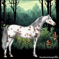 Horse Color:White Spotted Brown Splash 