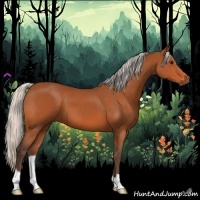 Horse Color:Silver Bay 