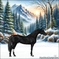 Horse Color:Black Ice 