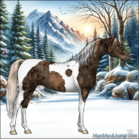 Horse Color:Chestnut Ice Tobiano 