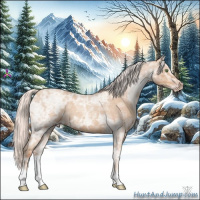 Horse Color:Silver Classic Champagne Ice Roan 
