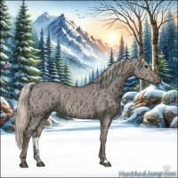 Horse Color:Silver Grullo Ice 