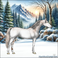 Horse Color:White Spotted Silver Bay Ice 