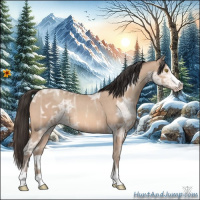 Horse Color:Amber Champagne Ice Sabino 