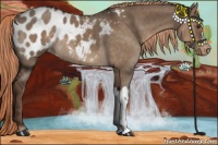 Horse Color:Liver Red Dun Appaloosa 