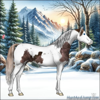 Horse Color:Chestnut Ice Sabino Splash Tobiano 